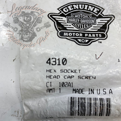 Visor OEM 4310
