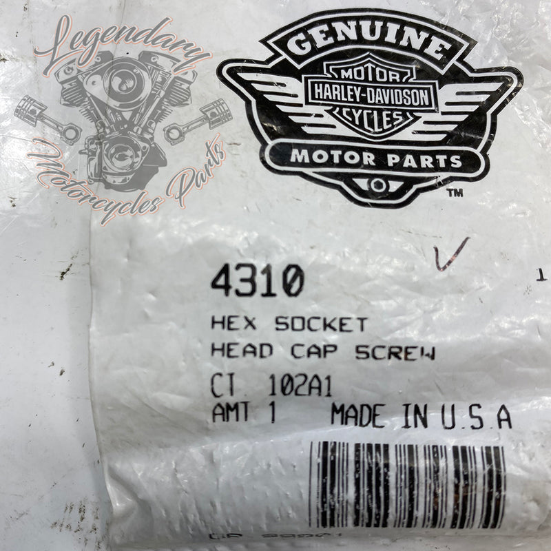 Visor OEM 4310