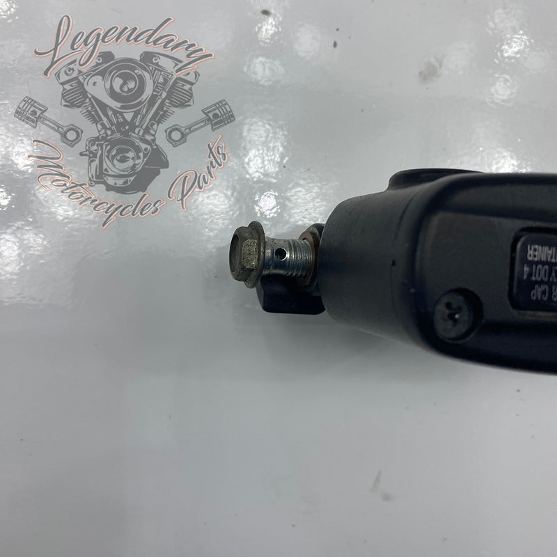 Rear Brake Master Cylinder OEM 41700460