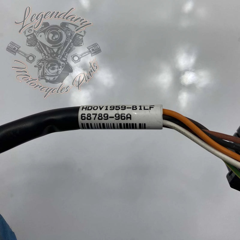 Indicator Wiring Harness OEM 68789-96B