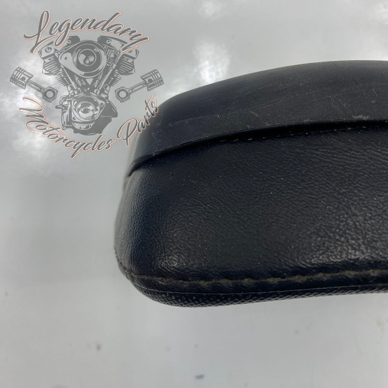 Passenger Backrest Cushion OEM 53973-08
