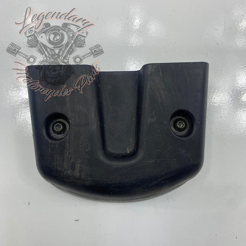 Passenger Backrest Cushion OEM 53973-08
