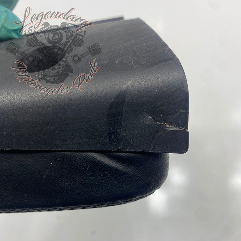 Passenger Backrest Cushion OEM 53973-08