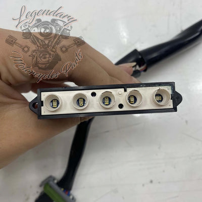 Meter Harness OEM 69200080