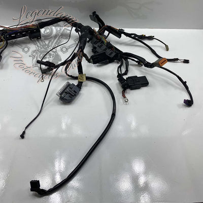 Headlight OEM 70225-10