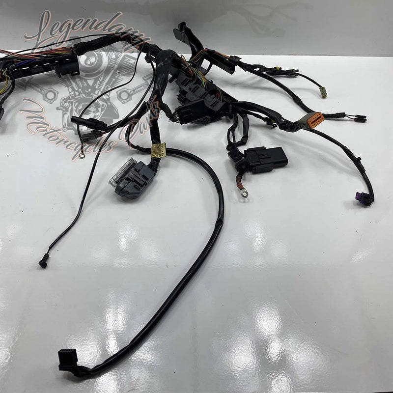 Headlight OEM 70225-10