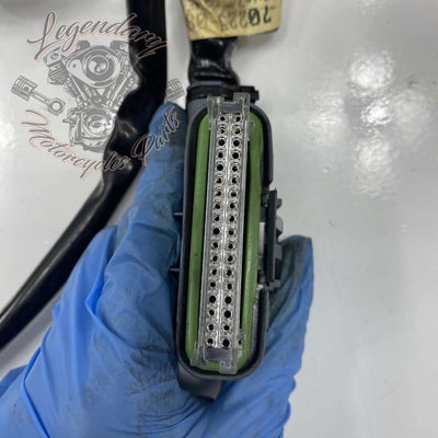 Headlight OEM 70225-10