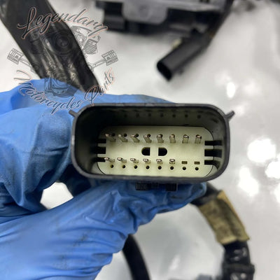 Headlight OEM 70225-10