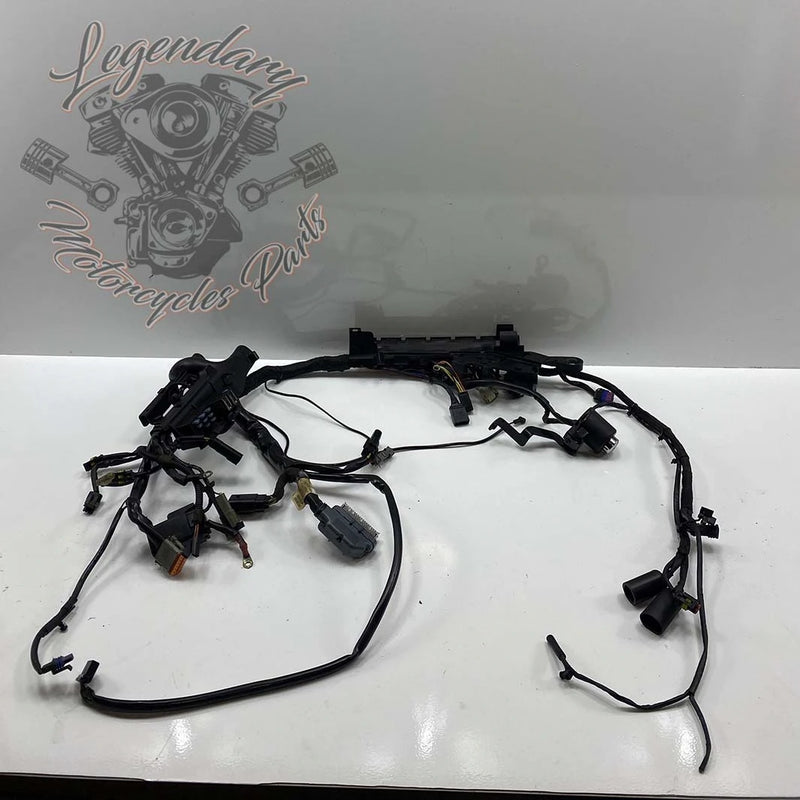 Headlight OEM 70225-10