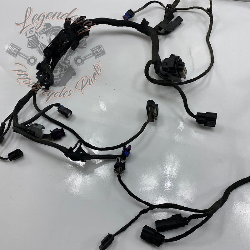 Engine Wiring Harness OEM 69202275