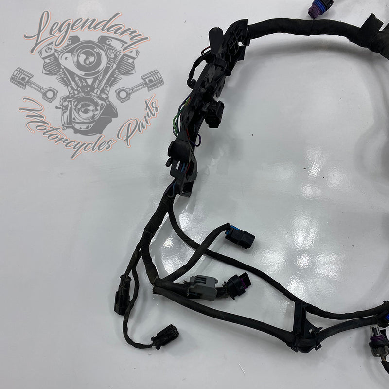 Engine Wiring Harness OEM 69202275