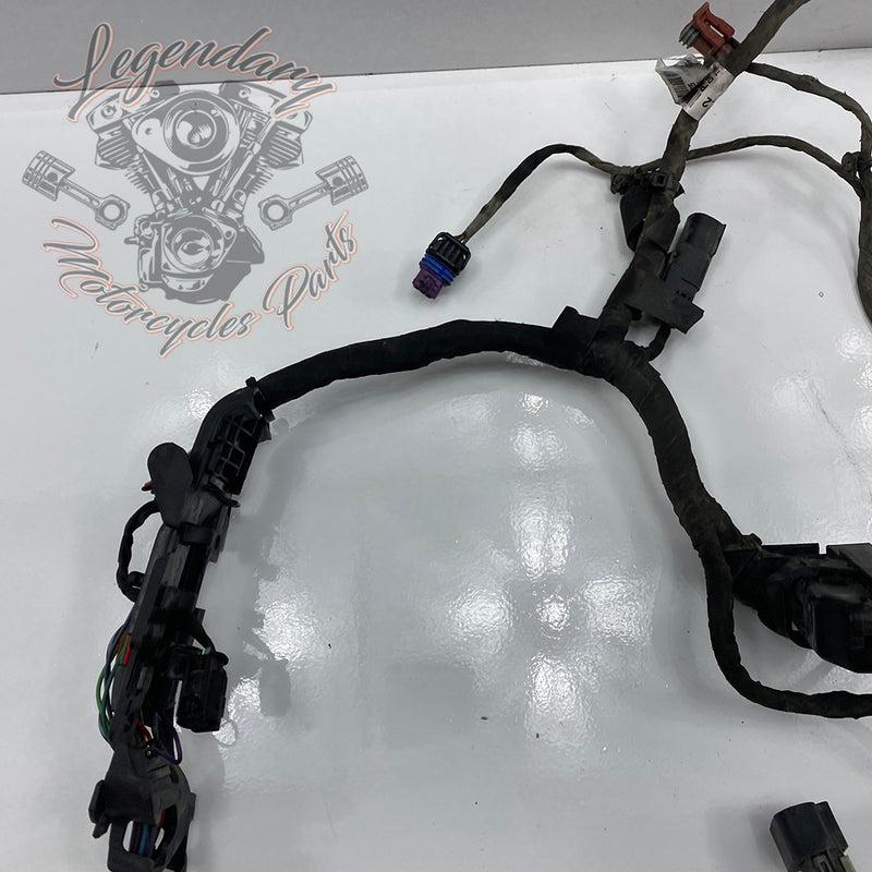 Engine Wiring Harness OEM 69202275