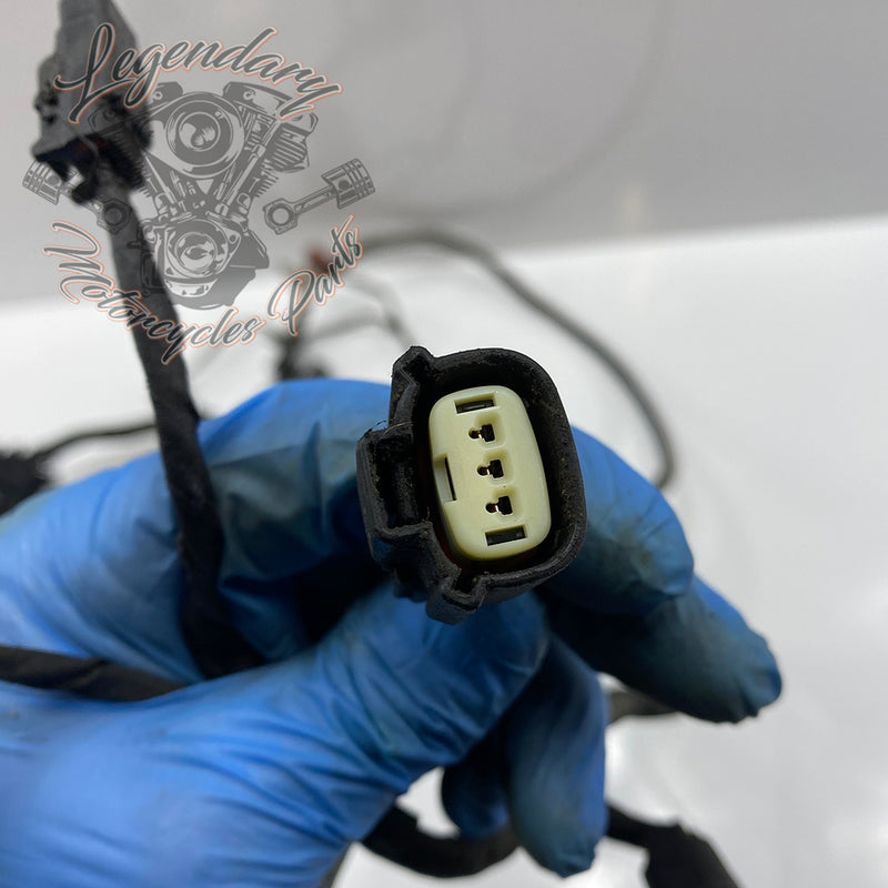 Engine Wiring Harness OEM 69202275