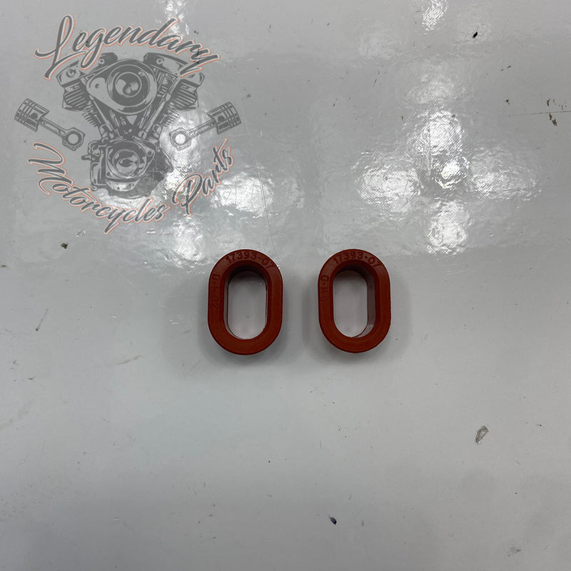 Camshaft breather gasket OEM 17393-07