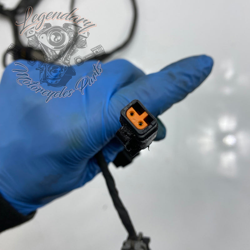 Engine Wiring Harness OEM 69202275