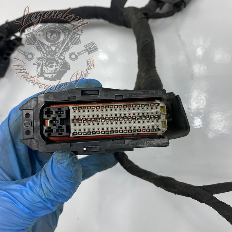 Engine Wiring Harness OEM 69202275