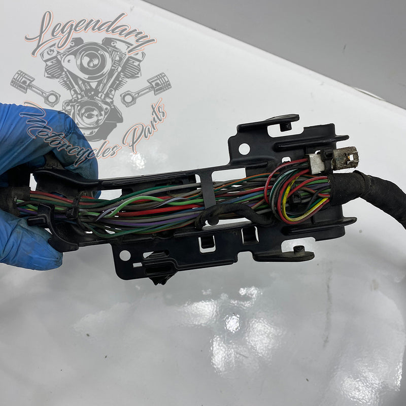Engine Wiring Harness OEM 69202275