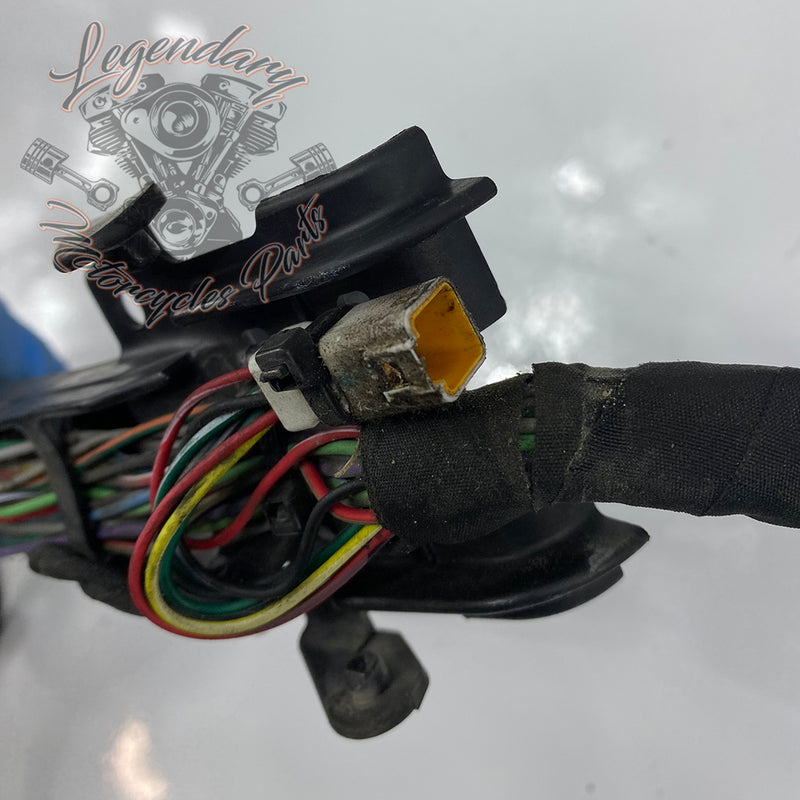 Engine Wiring Harness OEM 69202275