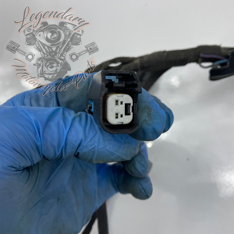 Engine Wiring Harness OEM 69202275
