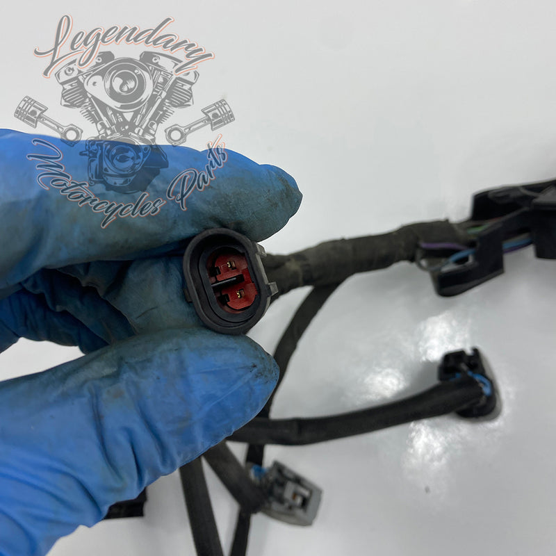 Engine Wiring Harness OEM 69202275