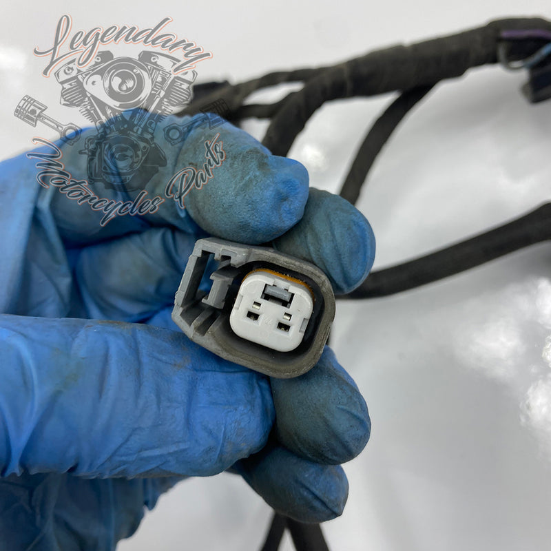 Engine Wiring Harness OEM 69202275