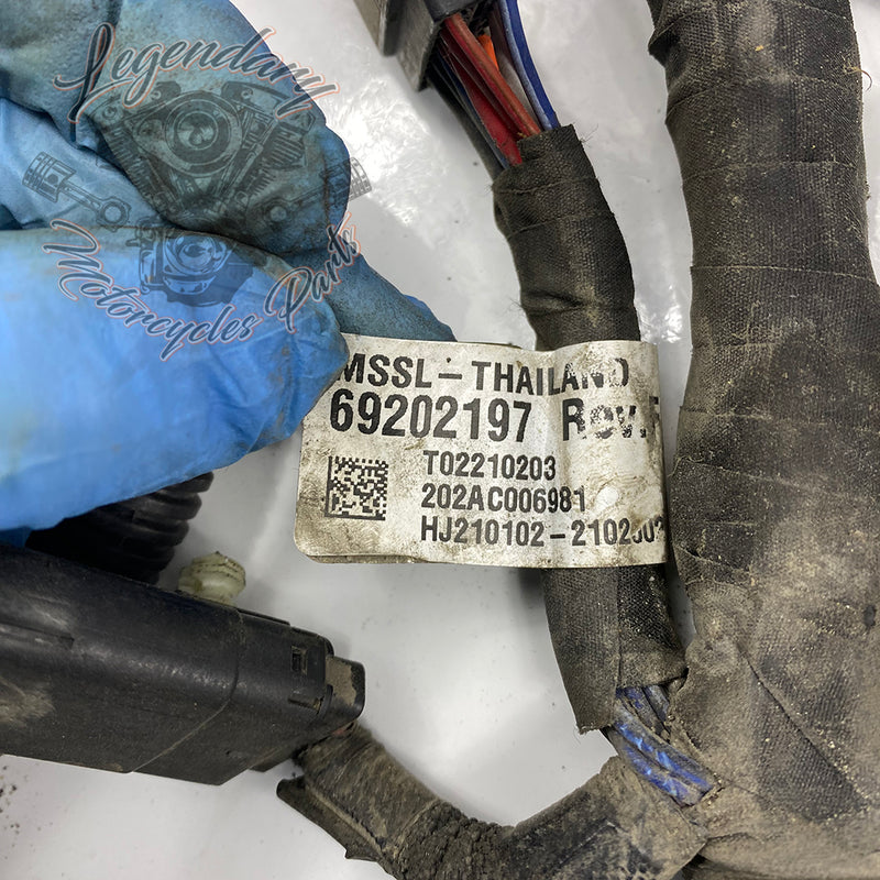 Headlight Beam OEM 69202197