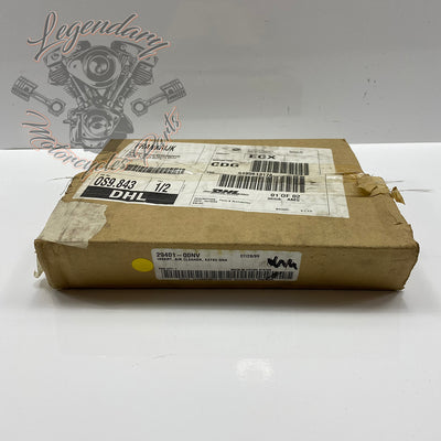 Inserto del filtro dell'aria OEM 29401-00NV