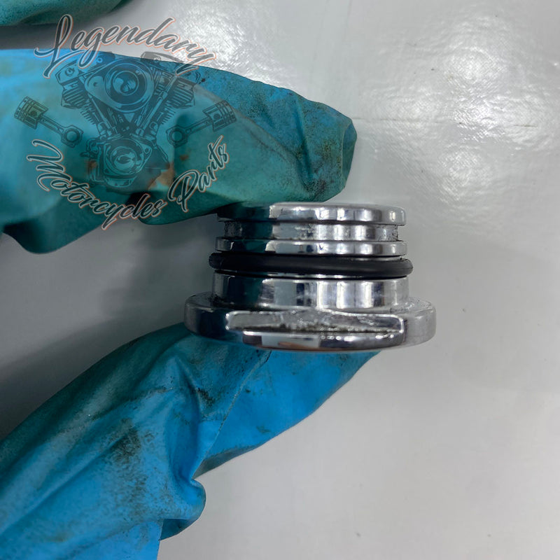 Cache porca de suporte de filtro de ar OEM 12100093