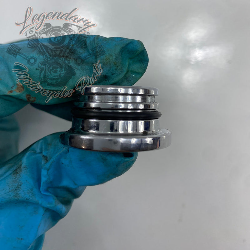 Cache porca de suporte de filtro de ar OEM 12100093