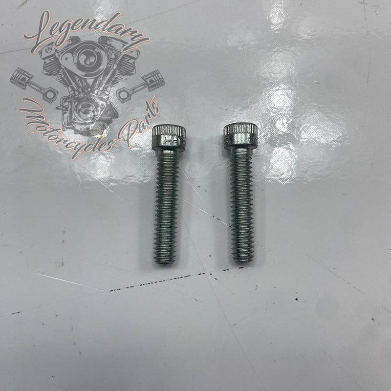 Visor OEM 3601