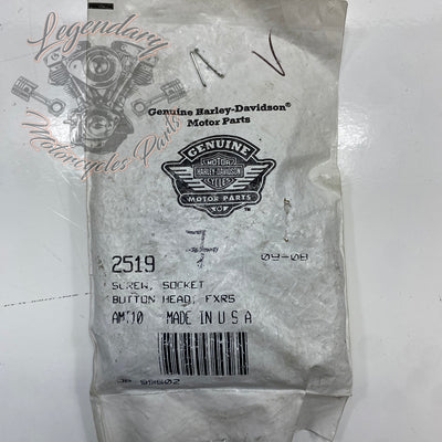 Visor OEM 2519