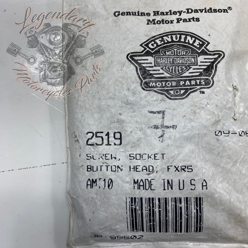 Visor OEM 2519