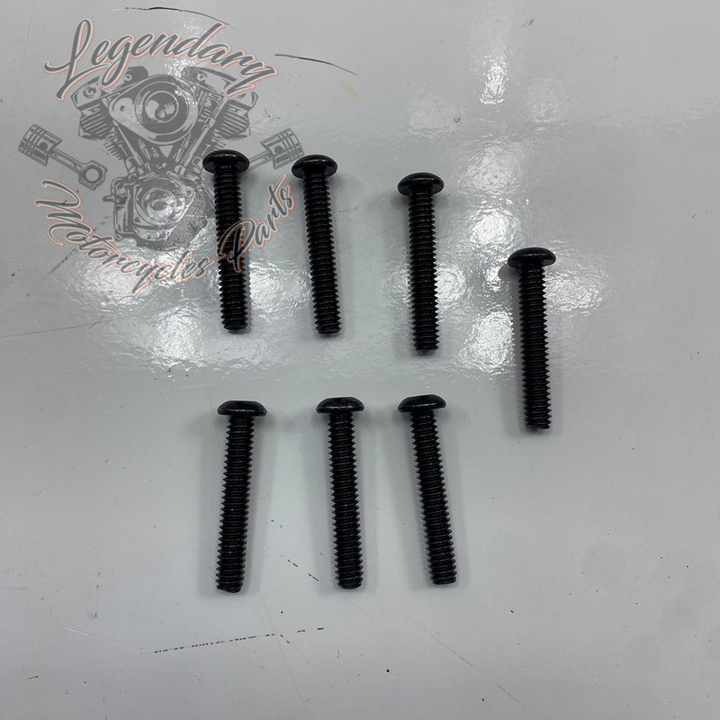 Visor OEM 2519