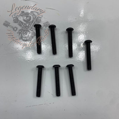Visor OEM 2519