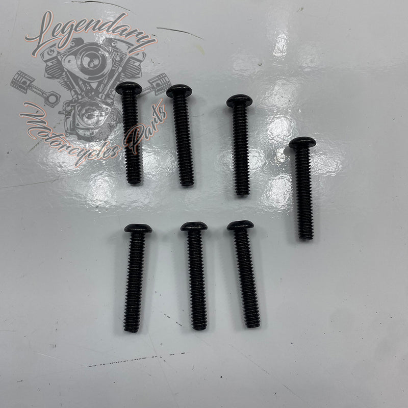 Visor OEM 2519