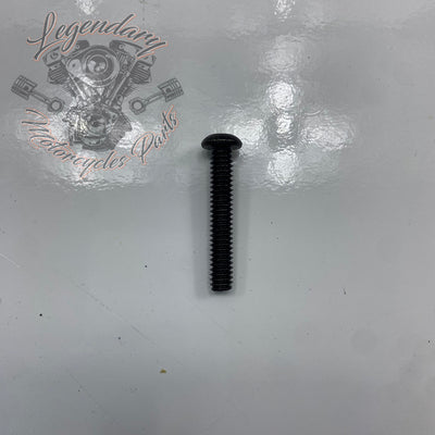 Visor OEM 2519