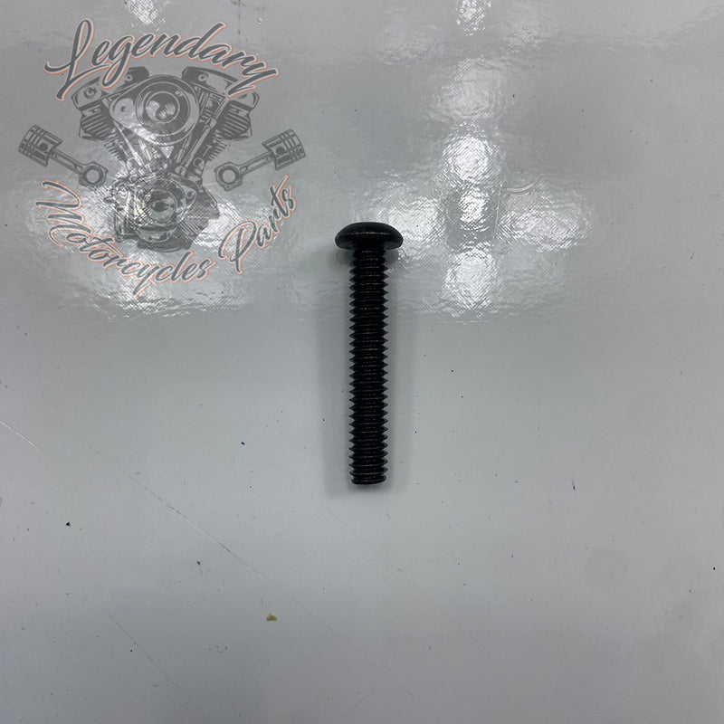 Visor OEM 2519