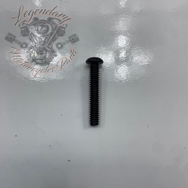 Visor OEM 2519