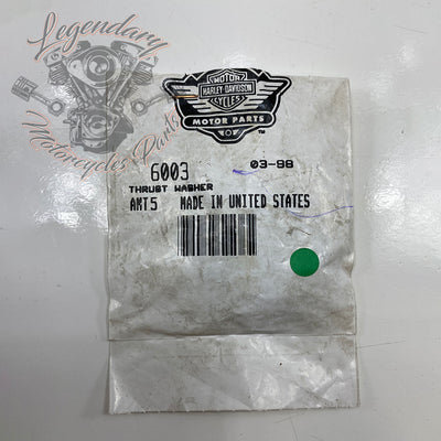Thrust Washer OEM 6003