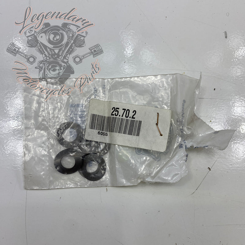 Federunterlegscheibe OEM 6055