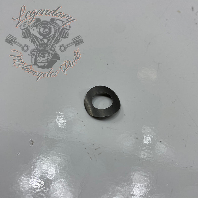 Federunterlegscheibe OEM 6055