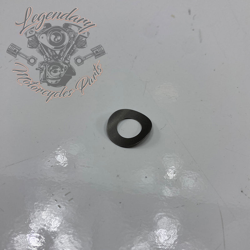 Federunterlegscheibe OEM 6055