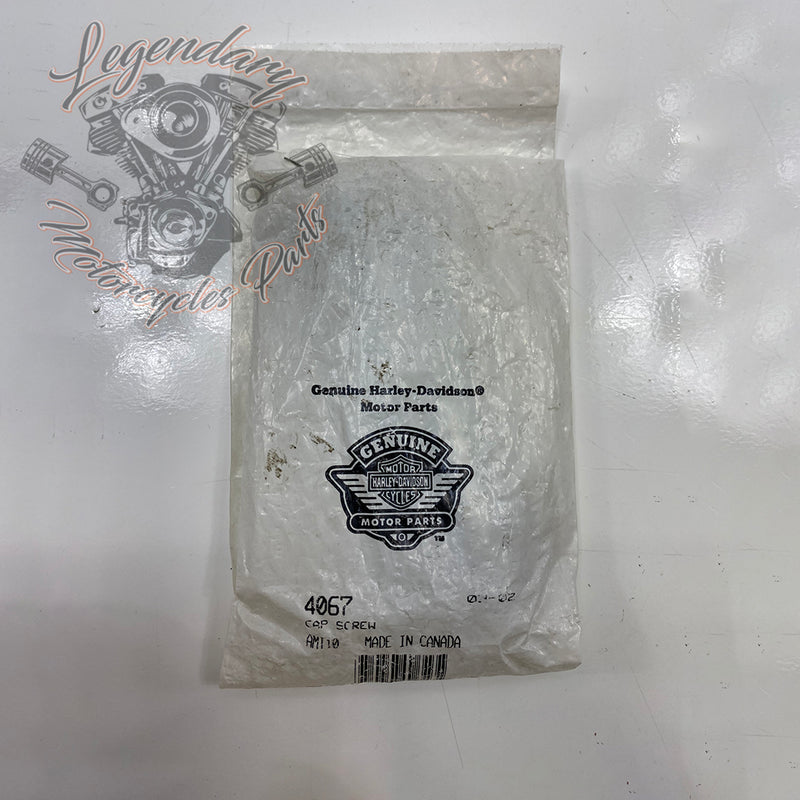 Vis à tête hexagonale OEM 4067