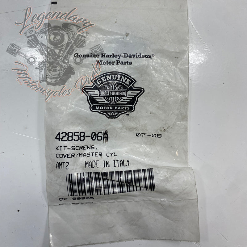 Brake Master Cylinder Cover Screw OEM 42858-06A