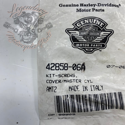 Brake Master Cylinder Cover Screw OEM 42858-06A