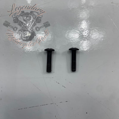 Brake Master Cylinder Cover Screw OEM 42858-06A