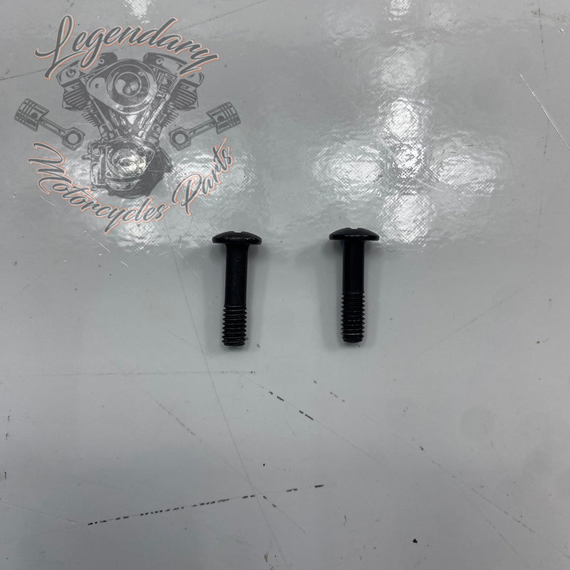 Brake Master Cylinder Cover Screw OEM 42858-06A