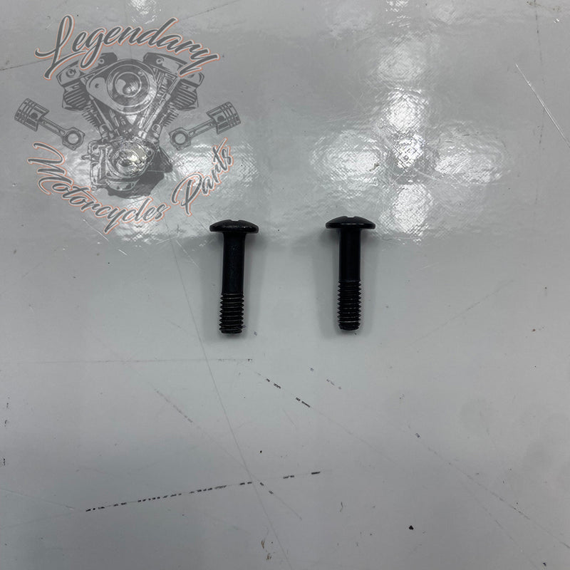 Brake Master Cylinder Cover Screw OEM 42858-06A
