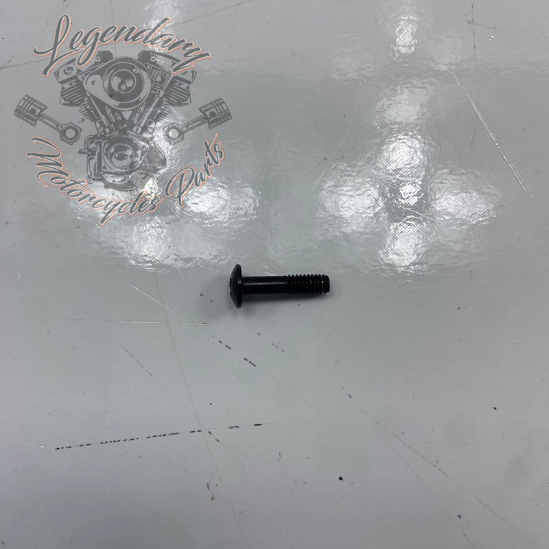 Brake Master Cylinder Cover Screw OEM 42858-06A