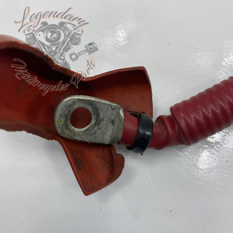 Starter Battery Cable OEM 70295-10